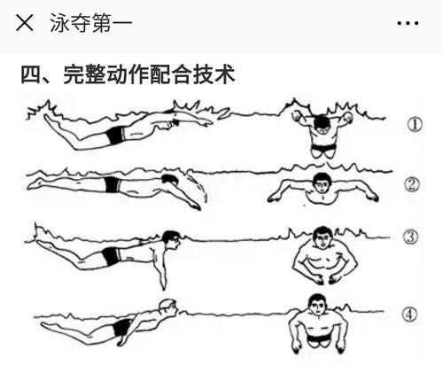 游泳技巧法大全（掌握游泳入水的关键，享受游泳的乐趣）