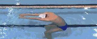 学习蛙泳的游泳基本技巧（掌握正确的身体姿势和呼吸方法来提高游泳效果）