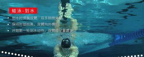 游泳技巧（掌握游泳技巧，轻松吸气不累）