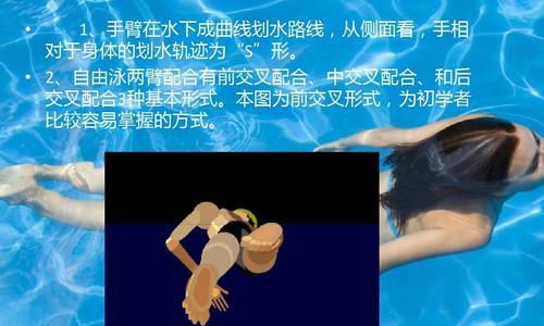 掌握游泳蛙泳不换气技巧（有效提升蛙泳技能，游得更远更快！）