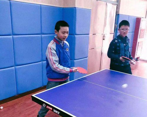 乒乓球的多功能之旅（发现乒乓球的无限可能）