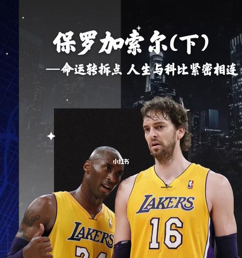 NBA博主粉丝排行榜揭晓（NBA博主粉丝排行榜曝光，揭示球迷们的最爱！）