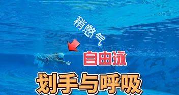 提高自游泳呼吸技巧的6个关键要点（掌握正确的呼吸方法，让你在游泳中游得更快更久）