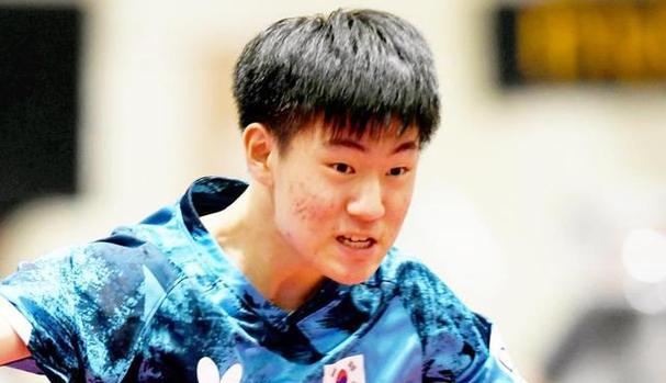 中国乒乓球男队新星的崛起（以樊振东为主角，中国乒乓球男队焕发新活力）