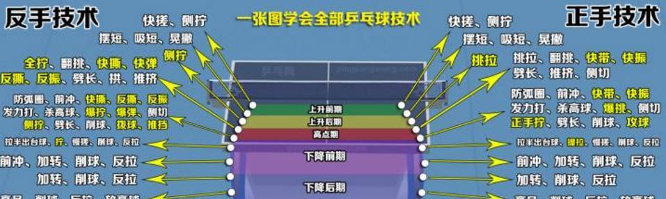 乒乓球步伐的技巧与应用（从初学者到高手，你需要知道的乒乓球步伐技巧）
