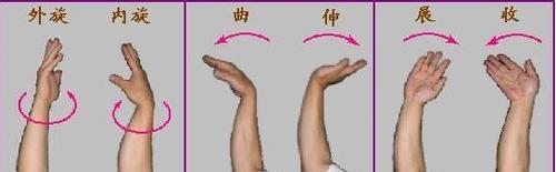 掌握排球发旋转球的关键要领（打造致胜武器，让你成为排球场上的明星）