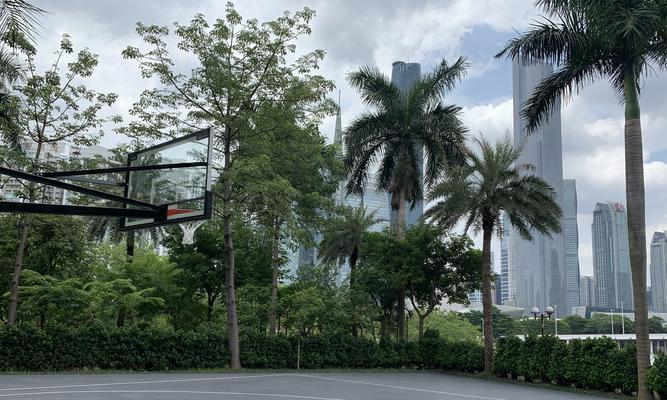 中国篮球场上的个人防守之道（一对一对决，技术与智慧的较量）