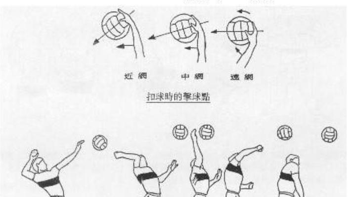 掌握排球基本站位动作要领，打造出色球队（排球站位口诀助你击败对手，）