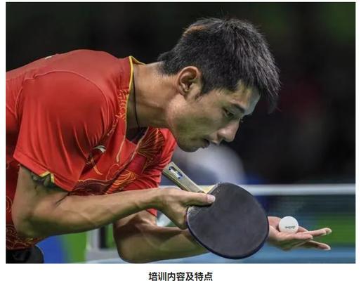 打造卓越乒乓球运动员的必备意识和技巧（掌握乒乓球的黄金法则，成就技艺精湛的乒乓球选手）