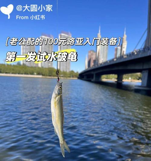 运用路亚技巧钓取最佳鱼种（以路亚钓鱼技巧获取丰收的捕鱼体验）