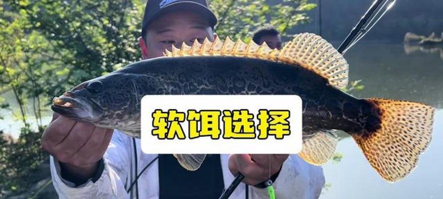 探讨路亚钓鱼选饵大小型号的关键因素（以饵料尺寸选择为主线，优化路亚钓鱼效果）
