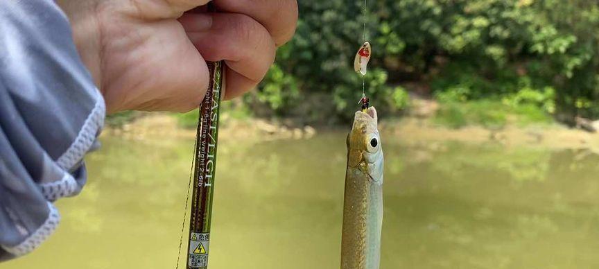 白天路亚钓鱼的技巧与钓组选择（探索白天路亚钓鱼的新玩法，提高钓鱼效果）