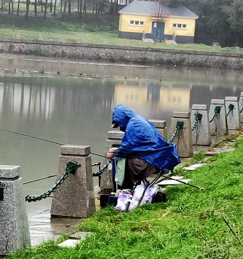 雨天江边钓鱼技巧（路亚钓法在雨天的应用与注意事项）