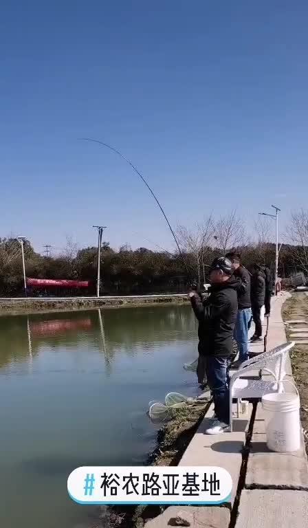 突然降温的黑坑钓鱼技巧（路亚钓鱼在突然降温的黑坑中的应对策略）