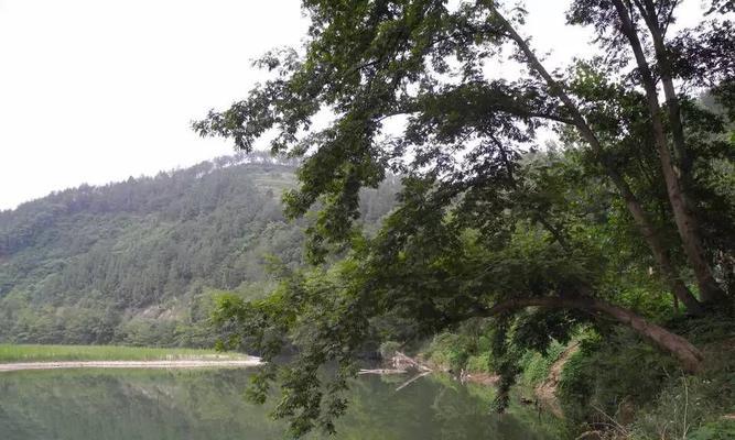 晚上钓鱼，钓浅还是钓深？（探讨最佳路亚技巧）
