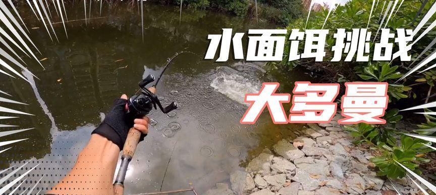 深入解析以浑水能钓路亚嘛的技巧与方法（探秘钓鱼中以浑水能钓路亚的奥秘，教你如何有效地使用这一技巧）