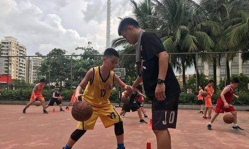 国外篮球防守训练方法的应用及效果分析（提高篮球防守能力的关键训练方法及技巧）