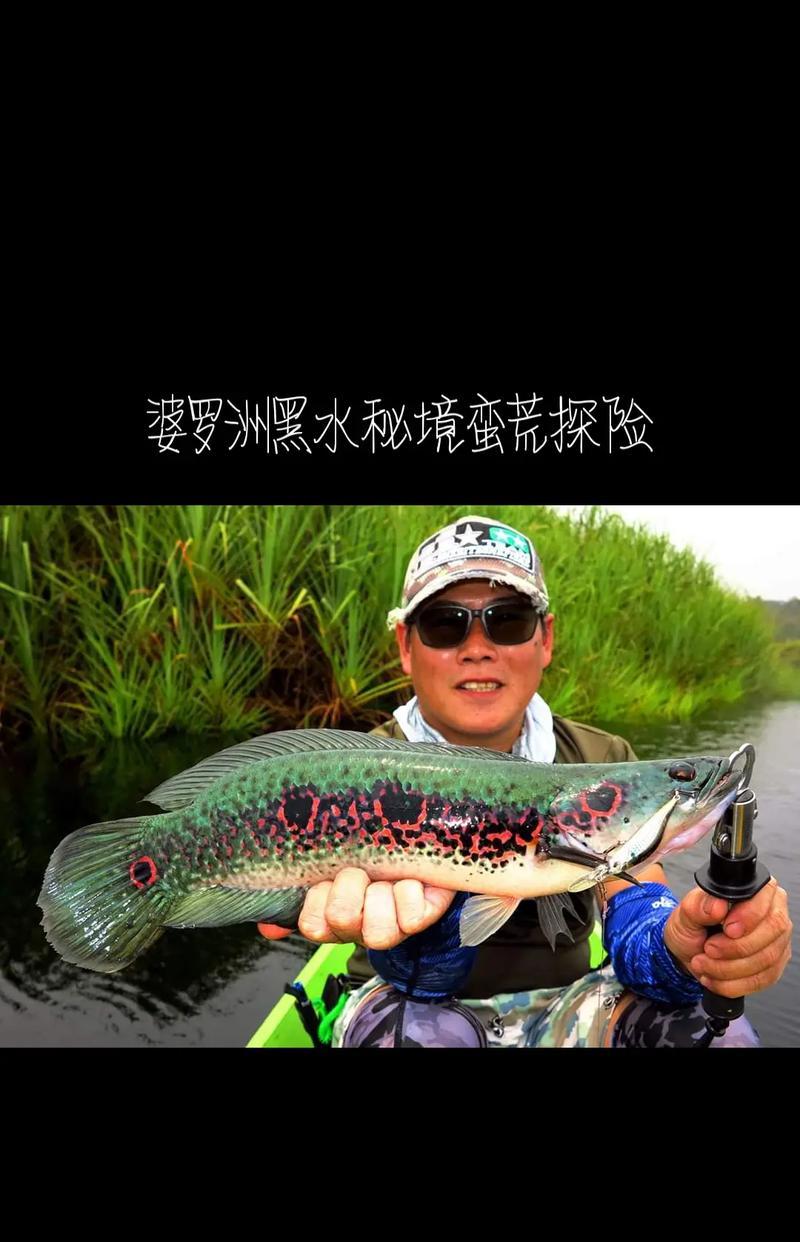 路亚钓鱼技巧解析（以路亚钓鱼配置为主，让你高效捕鱼无忧）