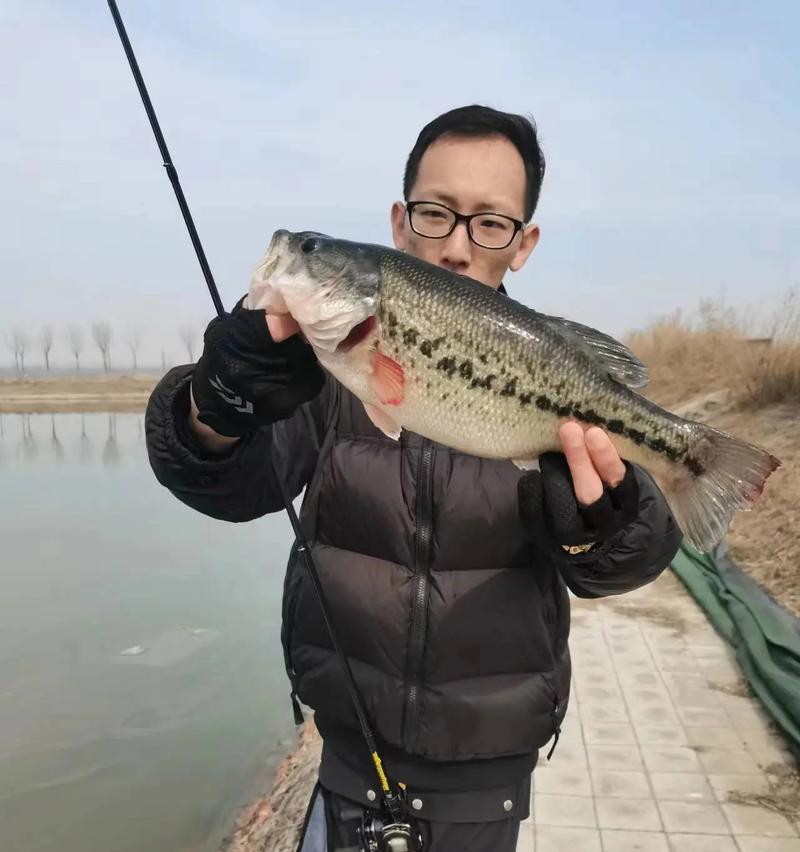 路亚竿钓鱼，技巧与经验分享（揭秘路亚竿的钓鱼技巧，帮你成为高手）