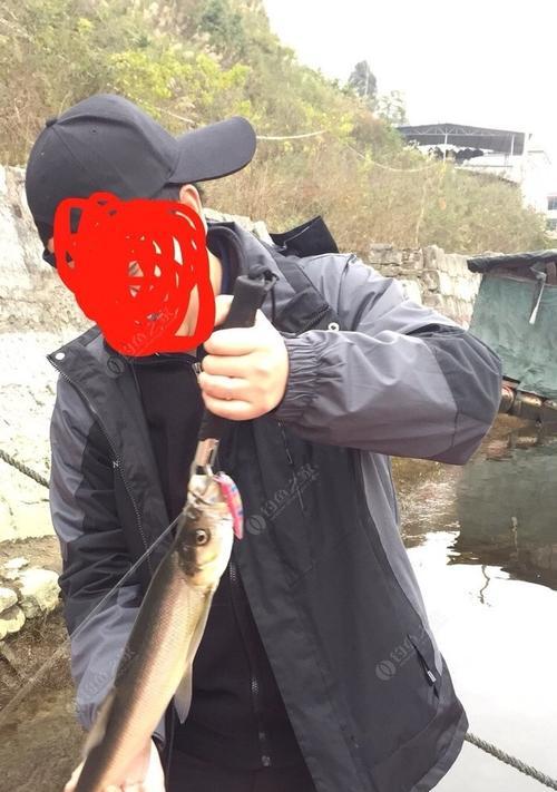 冬天钓鱼的最佳路亚风向（探寻冬季路亚钓鱼的最佳风向和策略）
