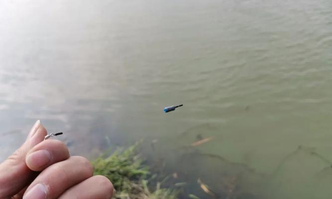 钓鱼新技能！掌握以路亚纺车轮钓鱼调漂的技巧（轻松掌握调节漂浮物位置的技巧，提升钓鱼效果）