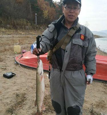 深入海中，探索路亚钓鱼的魅力（在海洋中畅游，用路亚钓鱼技术捕获丰富海洋资源）