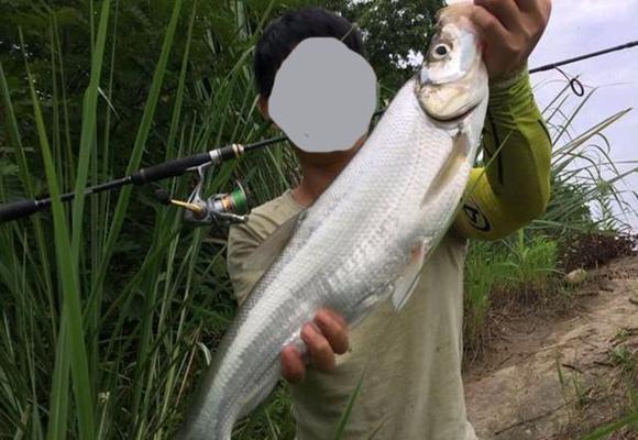 水库钓鱼和路亚钓哪种更好？（探讨水库钓鱼和路亚钓的优缺点，帮助钓友选择合适的钓法）