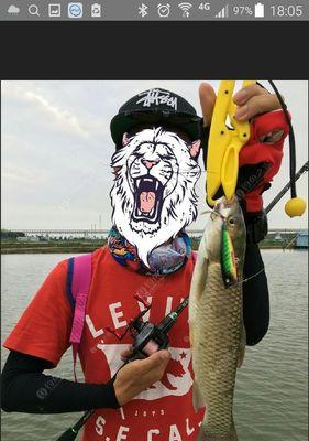 探索松山湖阳光沙滩钓鱼场的路亚乐趣（畅享大自然，与鱼儿共舞的绝佳去处）