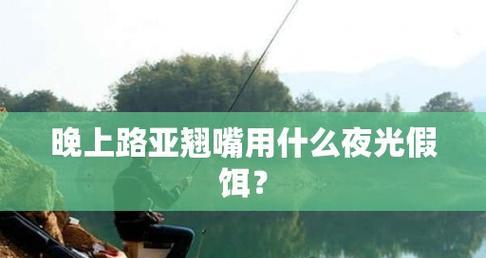 夜钓鱼的技巧和注意事项（提高能见度的关键方法及实用建议）