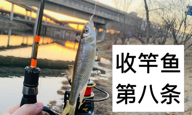如何使用路亚钓鱼抛竿防止炸线（有效的路亚钓鱼技巧与防止线断的方法）