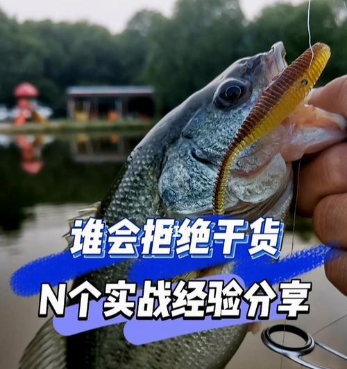 如何最好地松线以进行路亚钓鱼（提高路亚钓鱼效果的关键技巧）