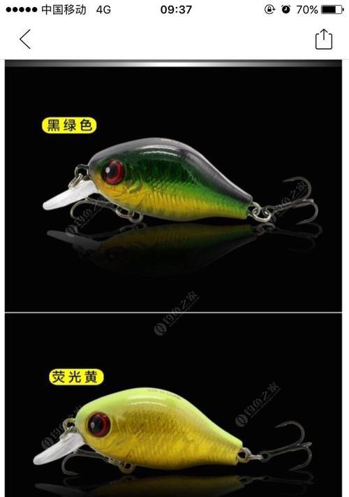 路亚钓鱼的鱼饵种类及适用鱼种大揭秘（了解路亚钓鱼的不同鱼饵及其受欢迎的目标鱼种）