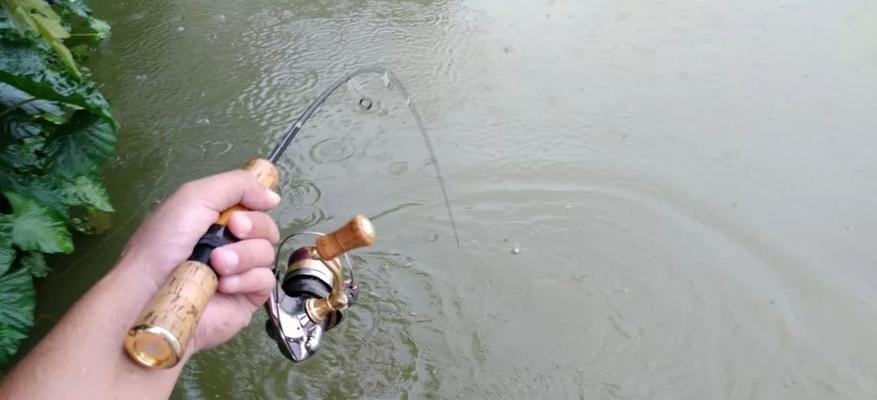 雨天路亚钓鱼的优势与技巧（探索雨水中的丰鱼宝藏，轻松战胜湿天气）