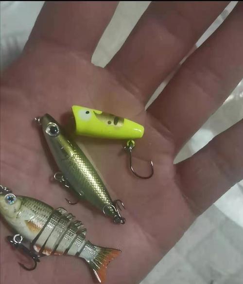 路亚钓鱼线和鱼饵的完美连接方法（通过巧妙组合实现更高效的路亚钓鱼体验）