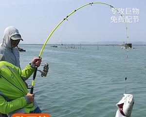 海边钓鱼（探讨钓鱼爱好者使用路亚和海竿的优缺点）