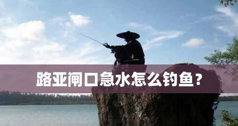 如何选择适合路亚钓鱼的钓位？（掌握关键因素，提高钓鱼效果）