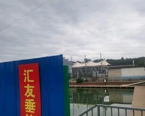 石板沙路亚钓鱼爱好者的乐园（探寻钓鱼新趋势，石板沙路亚带给你不一样的钓鱼体验）