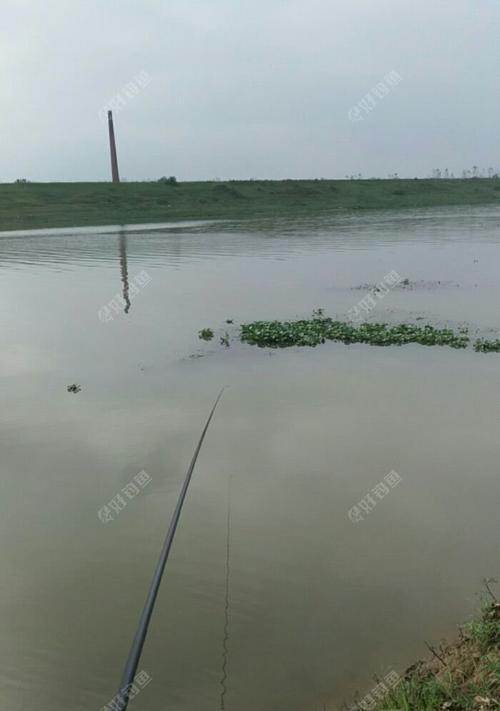 雨中的路亚钓鱼乐趣（探寻下雨天路亚钓鱼的魅力与技巧）