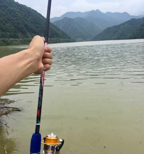 为什么路亚钓鱼如此昂贵？（探究路亚钓鱼设备高价的原因及解决方法）