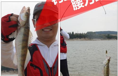 用路亚竿钓鱼在大海中间的乐趣（探索深海钓鱼之旅，感受路亚竿的魅力）