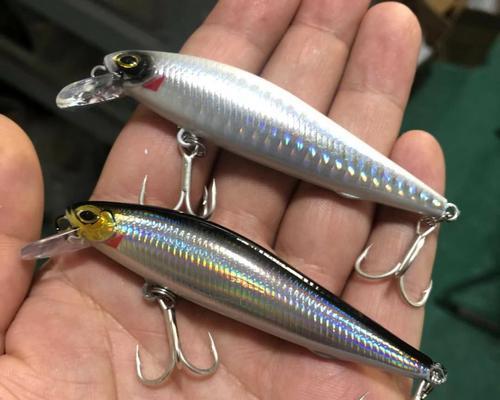 海边钓鱼路亚，选择合适饵料关键（探讨海边钓鱼路亚中最佳饵料的选择及技巧）