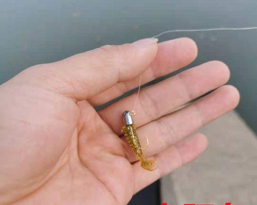 路亚假饵在水库钓鱼的高效性剖析（探究路亚假饵在水库钓鱼中的应用技巧与注意事项）