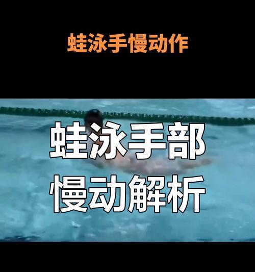 游泳跳水中级动作技巧要领——挑战自我，征服水域（突破技术瓶颈，提升游泳跳水实力）